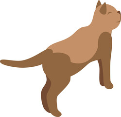 Playful brown cat standing on hind legs, looking up with closed eyes, enjoying a moment of bliss, in isometric view