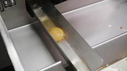 Egg yolks moving in thecooking machine