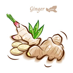 生姜(しょうが)のポップで可愛いイラスト｜新鮮野菜のベクター素材