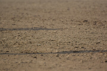 Horse feet standing in the paddock round pen during training, The horse overcomes an obstacle. Equestrian sport, jumping. Overcome obstacles. Dressage of horses in the arena. Jumping competition.