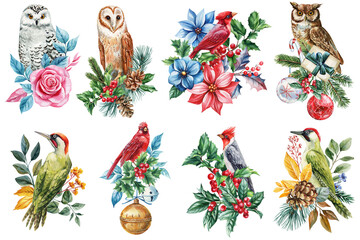 Watercolor forest Birds Collection with Holly, Flowers, Pine Cones and Winter Botanical Elements, holiday postcard