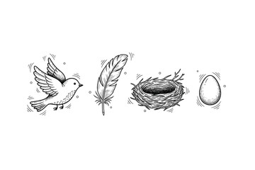Hand-drawn bird icon set: bird, feather, nest, egg in black and white