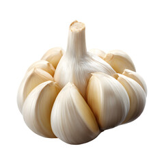 Whole bulb of garlic isolated on transparent background