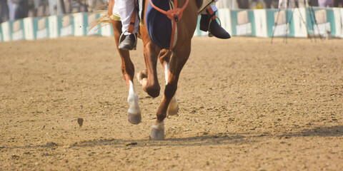Horse feet standing in the paddock round pen during training, The horse overcomes an obstacle. Equestrian sport, jumping. Overcome obstacles. Dressage of horses in the arena. Jumping competition.