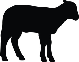 Black Silhouette Vector of Standing Lamb or Sheep Isolated on White Background