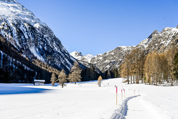 Bever, Val Bever, Winterwanderweg, Winterlandschaft, Wintersport, Holzbank, Oberengadin, Beverin, Fluss, Langlauf, Langlaufloipe, Alpen, Arvenwald, Winter, Graubünden, Schweiz © bill_17