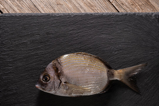 Raw two-banded seabream on granite plate over rustic wooden background. Fresh two-banded seabream displayed on granite serving board. Freshly caught two-banded seabream on granite tray.