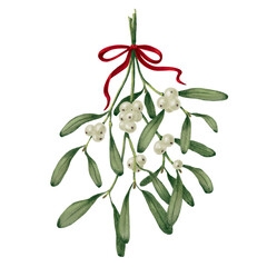Mistletoe Branch with Red Bow &mdash; Christmas Botanical PNG