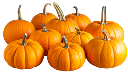 A set of pumpkins arranged together, showcasing vibrant autumn colors and natural textures, perfect for fall themes, harvest season, Halloween, and festive decoration visuals.