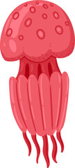 Red jellyfish swimming underwater as marine animal