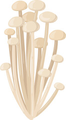 Enoki mushrooms standing upright ready for cooking