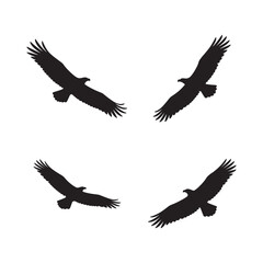 Obraz premium vector silhouette of Flying Eagle Over Mountains