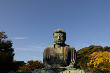 Great Buddha of Kamakura against a clear blue sky, capturing the serene expression of the iconic Daibutsu statue
