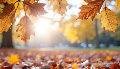 Golden autumn leaves frame a sunlit park scene with blurred background.