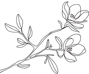 Minimalist line art of two flowers and leaves floral © Parvej