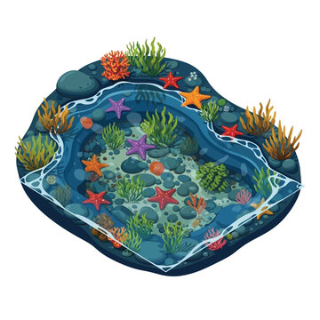 A vibrant, detailed illustration of a coastal tide pool teeming with colorful starfish, coral, and seaweed.
