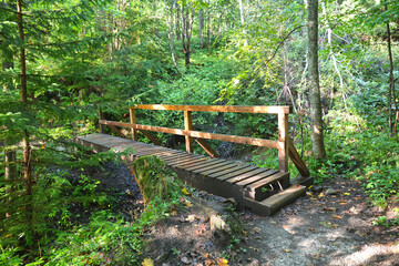 Hiking trail with wooden bridge to Tatranska Lomnica, Slovakia.