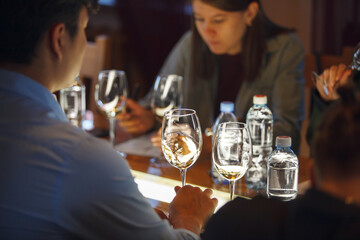 Group of People Sitting at Table With Wine Glasses on Tasting Session
