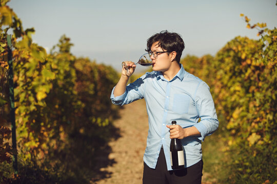 Man Drinking Red Wine in Vineyard