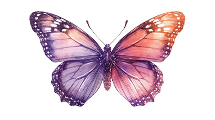 Watercolor butterfly with purple and orange wings displayed on a black background art piece on transparent background