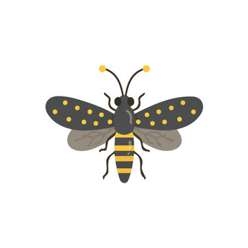 Attractive Simple illustration with EPS format design of firefly isolated on white and transparent background, Clipart set, Minimalist illustration
