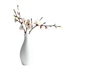 Elegant white vase with pink-white blossoms on dark background