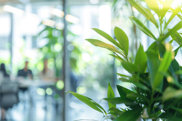 Naklejka premium a plant in a vase in a room