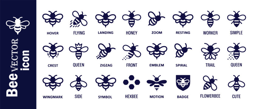Bee vector icon set with various poses and styles illustration representing nature and wildlife