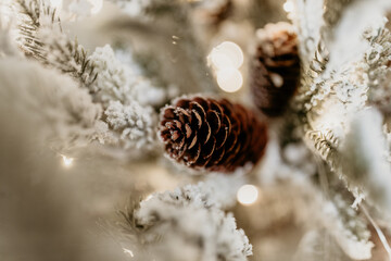 Obraz premium Snow-Covered Pinecone on Frosted Christmas Tree with Lights