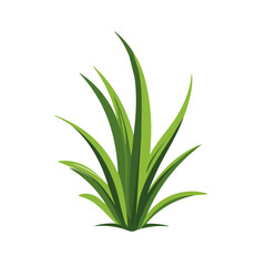 Attractive design, Simple illustration with EPS format design of grass_blade isolated on white and transparent background, Clipart set, Minimalist illustration
