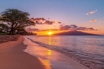 Paradise coastline with palm trees and turquoise ocean
