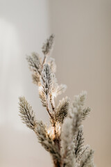 Frosted Winter Tree Branch with Soft Light