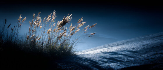 Dramatic Twilight Silhouette: Tall Grasses Casting Long Shadows on Dark Rock Surface