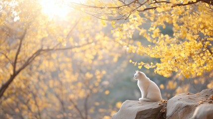 Naklejka premium White cat resting on a rock surrounded by golden autumn leaves in nature