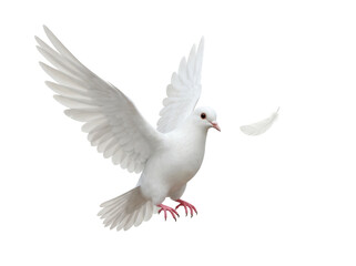 Elegant white dove flying PNG isolated on transparent background, symbol of peace and freedom, graceful bird for design projects
