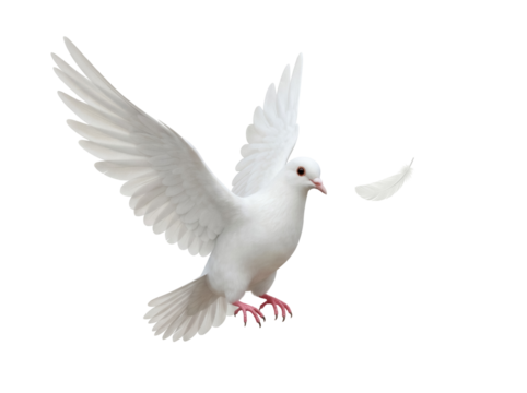 Elegant white dove flying PNG isolated on transparent background, symbol of peace and freedom, graceful bird for design projects