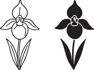 Two stylized illustrations of a ladys slipper orchid, one as a black outline drawing and the other as a solid black silhouette, isolated on icon on