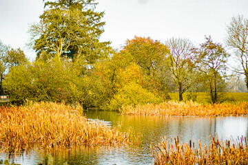 Autumn landscape, lake in Dunmanway, Ireland