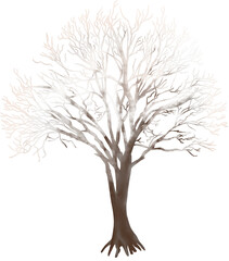 Fototapeta premium tree silhouette isolated on white