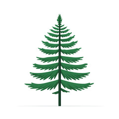 Simple_flat_2D_icon_fir_tree_branch_isolated_on_a_white_Christmas set collection