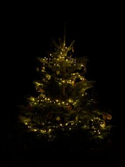Christmas tree glowing in the dark with warm lights and natural ornaments. Soft illumination highlights the branches and creates a calm festive mood.