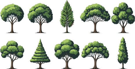 Large vector collection of realistic deciduous trees, cypress, and other coniferous varieties, perfect for detailed landscape architectural planning and natural scene creation. © MstRuna