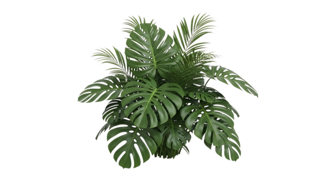 Lush green monstera and palm leaves, with white outlines, isolated on white or transparent background. PNG
