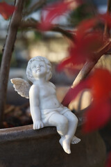 秋の紅葉の葉と座る天使