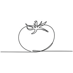 Minimalist single line drawing of a fresh tomato on a white background