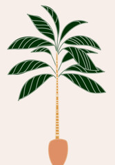 Obraz premium Illustration of a tall palm tree with a textured trunk and green fronds on beige.