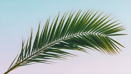 Obraz premium Palm Leaf Against Pastel Sky Tropical Elegance and Serenity in Botanical Photography