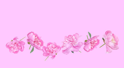 Pink peony garland on a pastel pink background. Light, airy floral arrangement ideal for invitations, social media headers, feminine branding, and romantic seasonal graphics. Copy space