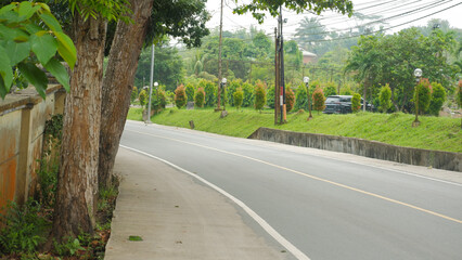 Curving Rural Road Surrounded by Trees and Lush Greenery
