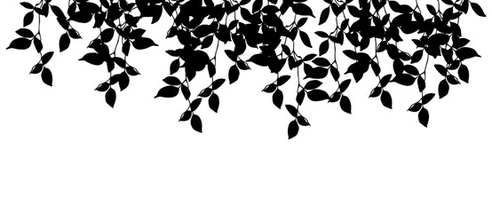 Black tree crowns silhouettes on white